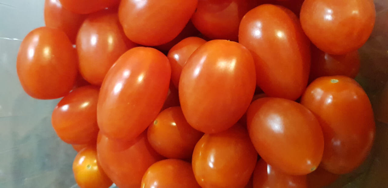 Solche Pflaumentomaten kann man häufig im Supermarkt kaufen