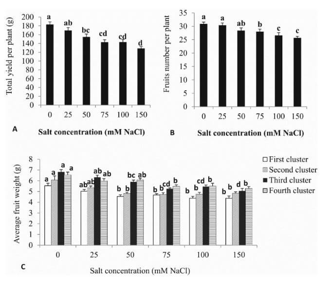Ergebnisse einer Studie über die Auswirkung von Salzwasser auf Ertrag (Yield) und Qualitätsmerkmale der Tomate