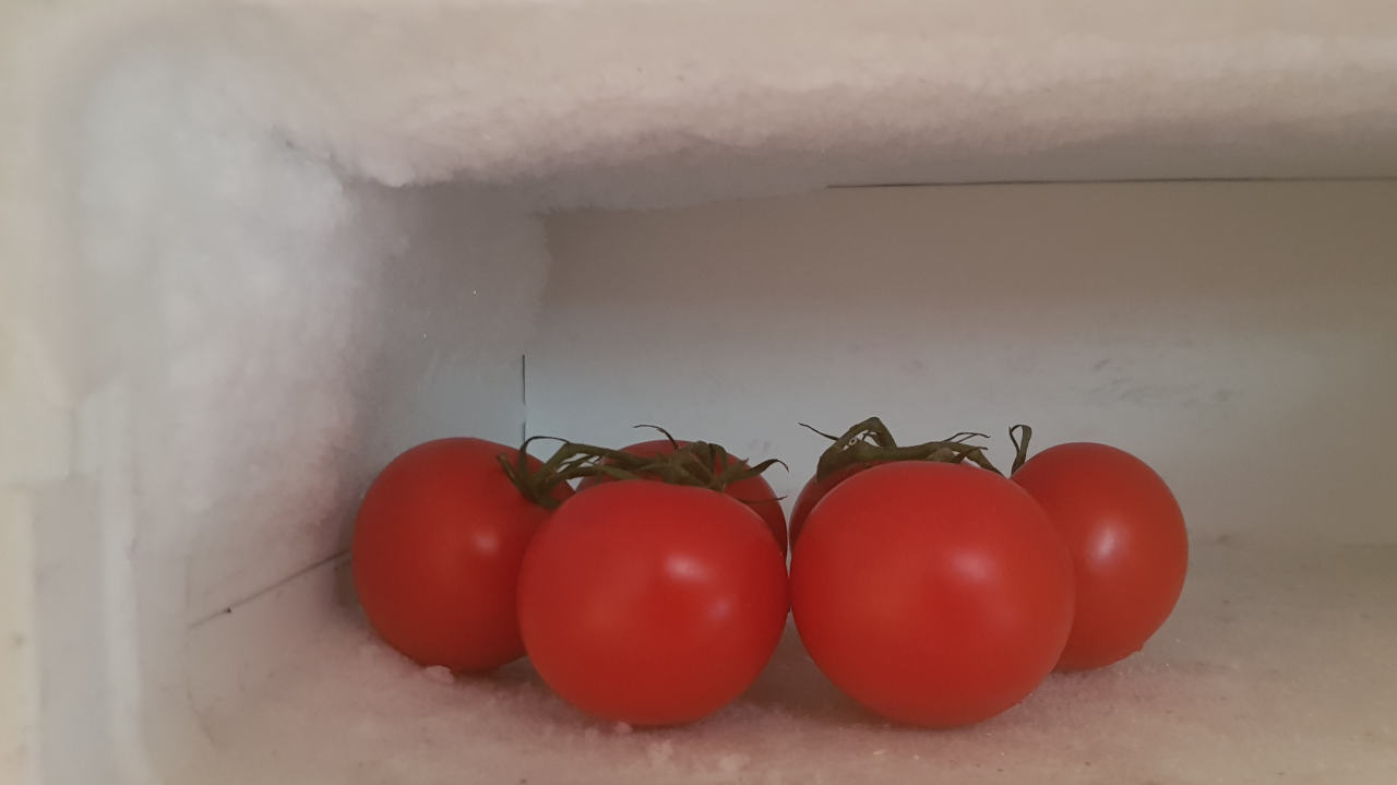 So werden Tomaten nicht eingefroren, es gibt aber andere Möglichkeiten